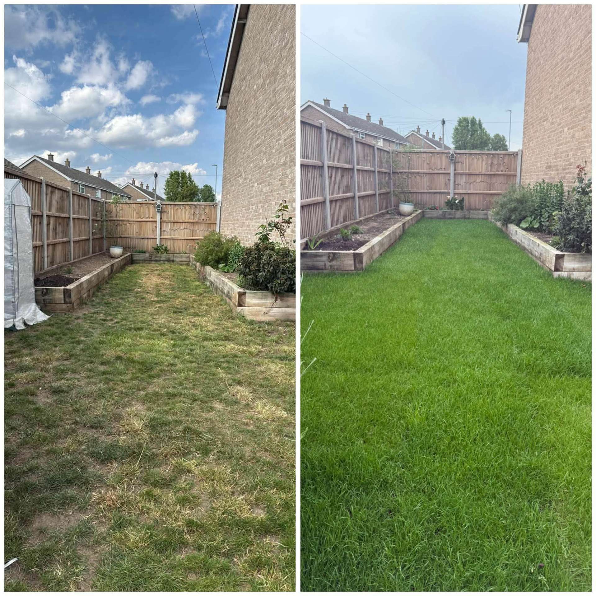 Before and after — tired patchy lawn transformed with fresh turf
