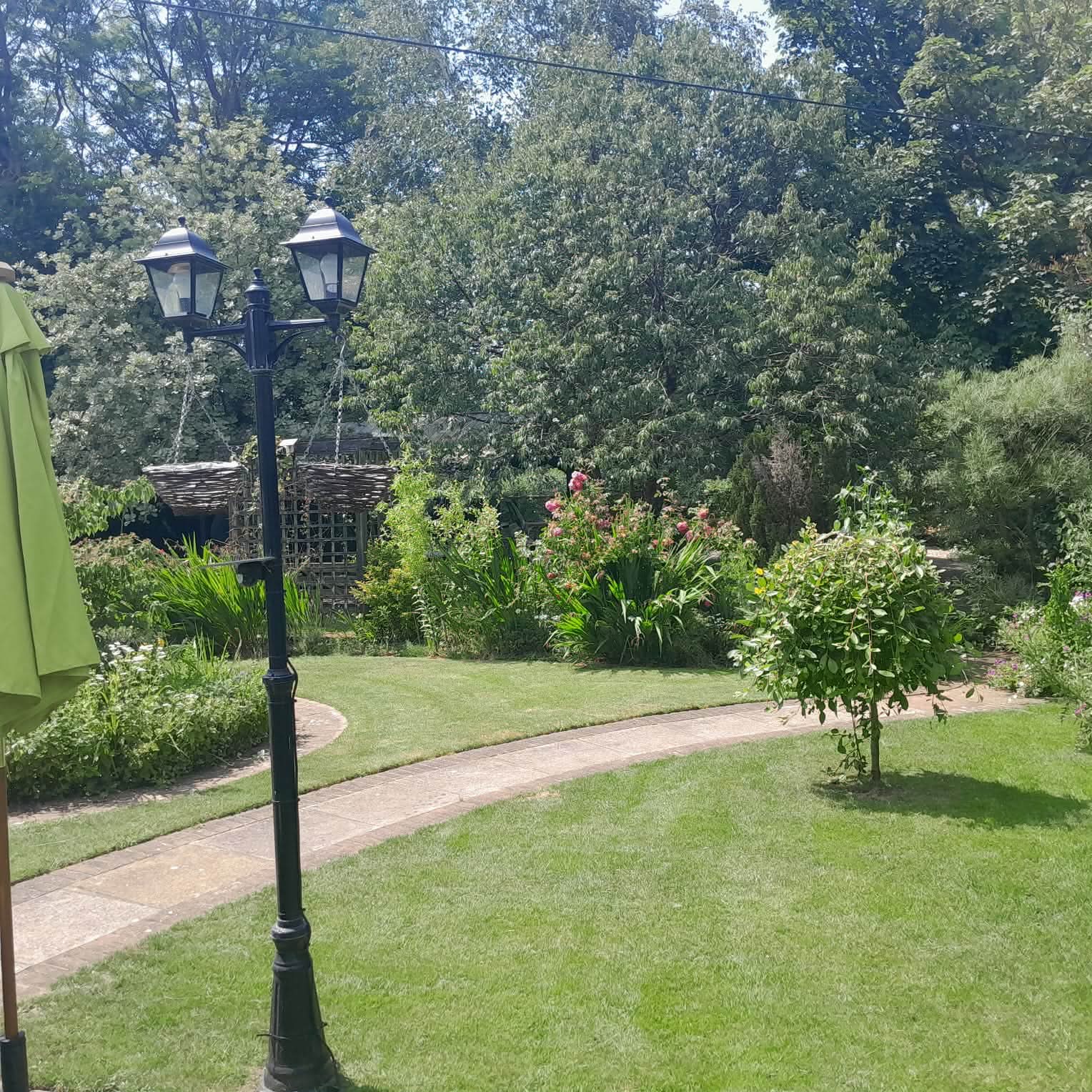 Border planting & paths